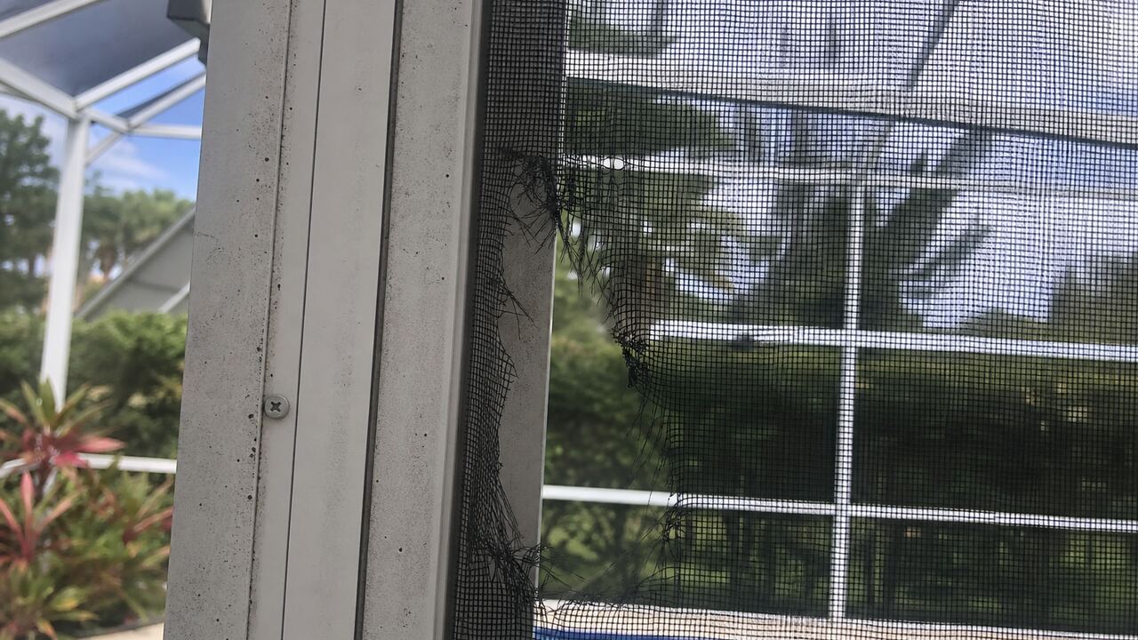 Torn pool screen panel needing repair Lee County Florida